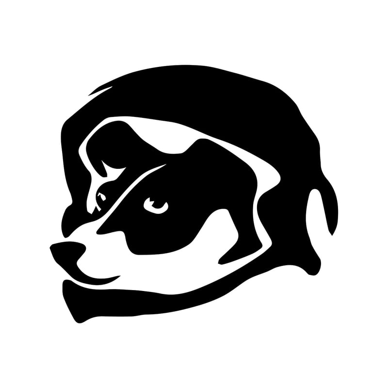 Brand Identity